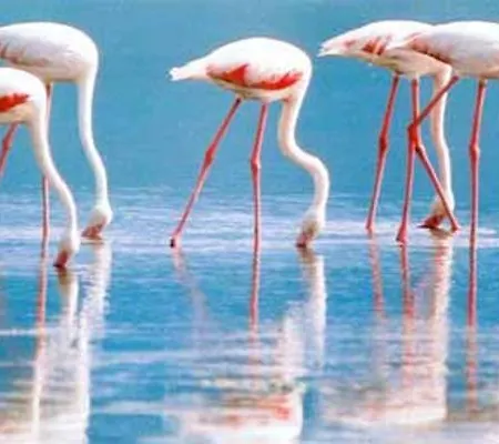 Floor Gulf View Olbia